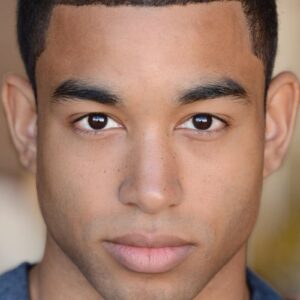 تصویر هنرمند Tom Williamson