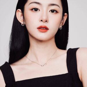 تصویر هنرمند Zhao Qing