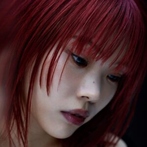 تصویر هنرمند Aina the End