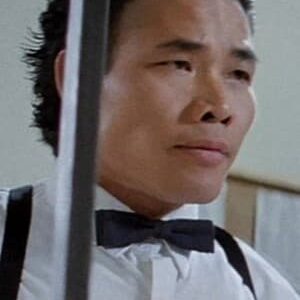 تصویر هنرمند Ho Wing-Cheung