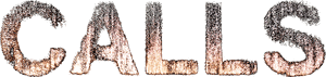 لوگوی رسمی سریال Calls (2021)
