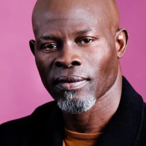 تصویر هنرمند Djimon Hounsou