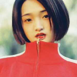 تصویر هنرمند Fu Xiaoxian