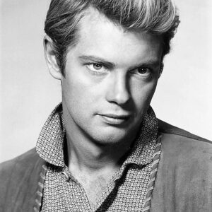 تصویر هنرمند Troy Donahue
