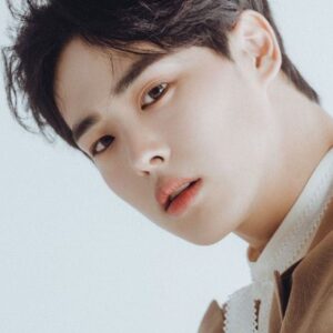 تصویر هنرمند Choi Byung-chan