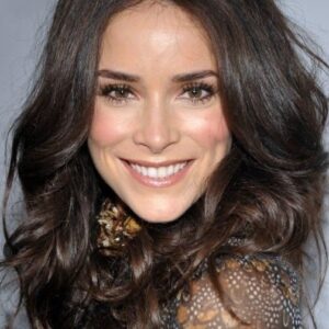 تصویر هنرمند Abigail Spencer
