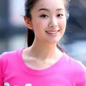 تصویر هنرمند Li Yuemin