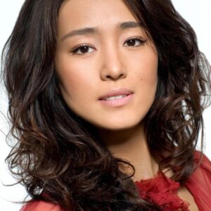 تصویر هنرمند Gong Li