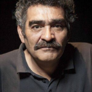 تصویر هنرمند Daniel Antivilo