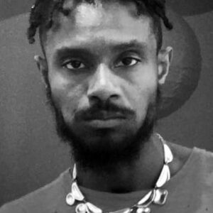 تصویر هنرمند Austin Purnell