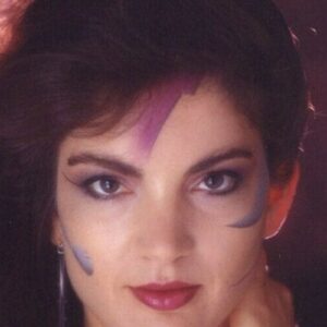 تصویر هنرمند Brinke Stevens