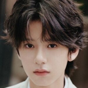 تصویر هنرمند Lin Ziye