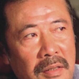 تصویر هنرمند Wang Han-Chen