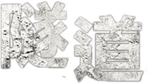 لوگوی رسمی سریال Tunnel (2017)