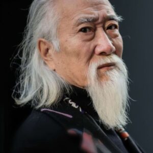 تصویر هنرمند Hou Tongjiang