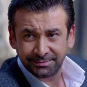 تصویر هنرمند Karim Abdel Aziz