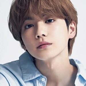 تصویر هنرمند Hokuto Yoshino