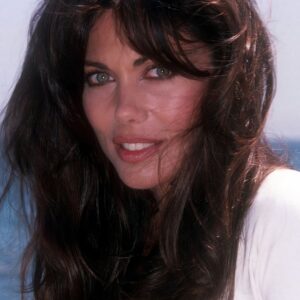 تصویر هنرمند Deborah Shelton