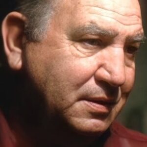 تصویر هنرمند Joseph Rigano