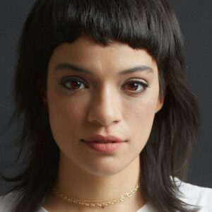 تصویر هنرمند Ingrid Gaigher