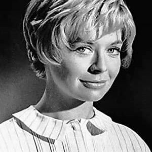 تصویر هنرمند Susannah York