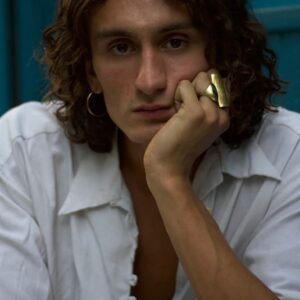 تصویر هنرمند Gaétan Vermeulen