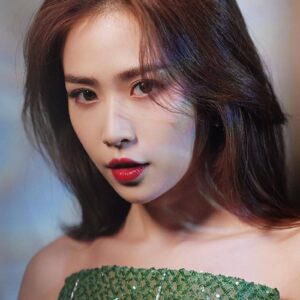 تصویر هنرمند Liu Meitong