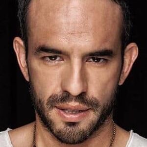 تصویر هنرمند Guillermo Iván