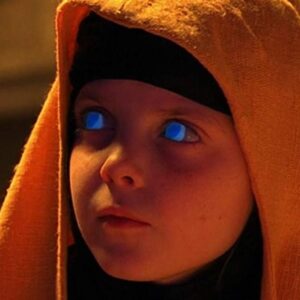 تصویر هنرمند Laura Burton