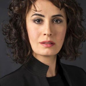 تصویر هنرمند Senan Kara