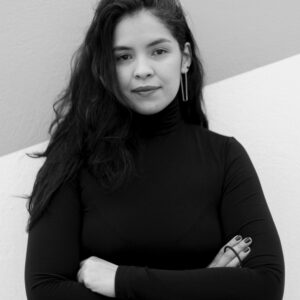 تصویر هنرمند Paola Andrea Pérez