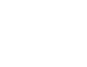 لوگوی رسمی فیلم The Dry (2021)