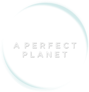 لوگوی رسمی سریال A Perfect Planet (2021)