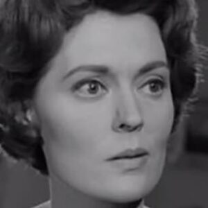 تصویر هنرمند Helen Lindsay