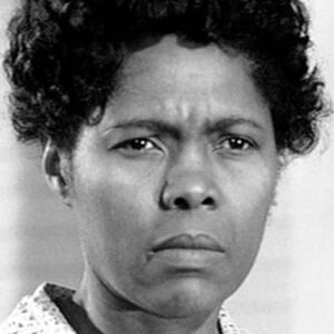 تصویر هنرمند Estelle Evans