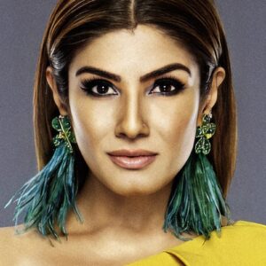 تصویر هنرمند Raveena Tandon