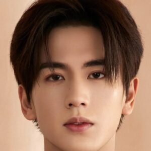 تصویر هنرمند Zhang Linghe