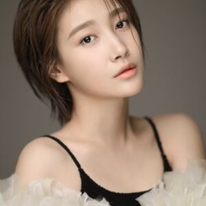 تصویر هنرمند Chuai Ni