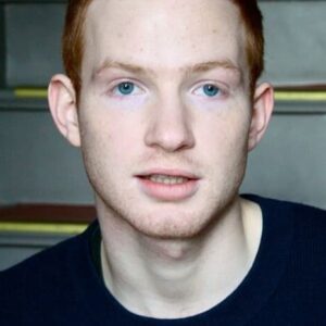 تصویر هنرمند Levin Henning