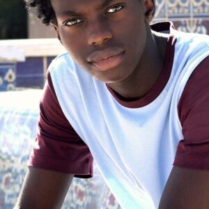 تصویر هنرمند Tim Johnson Jr.