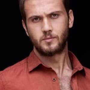 تصویر هنرمند Aras Bulut İynemli