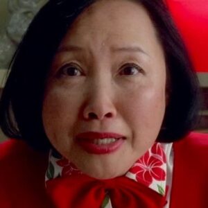 تصویر هنرمند Shu Lan Tuan