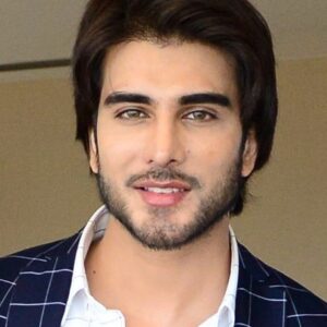 تصویر هنرمند Imran Abbas