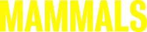 لوگوی رسمی سریال Mammals (2022)