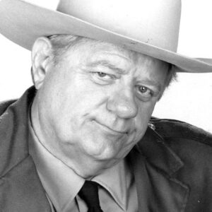 تصویر هنرمند Hugh Gillin