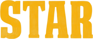 لوگوی رسمی فیلم Star (2024)