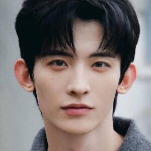 تصویر هنرمند Chang Huasen