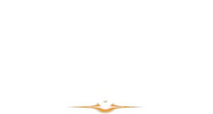 لوگوی رسمی فیلم Needle in a Timestack (2021)