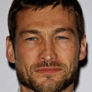 تصویر هنرمند Andy Whitfield