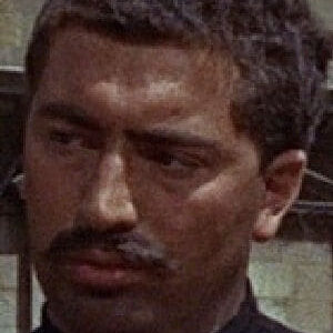 تصویر هنرمند Peter Brayham